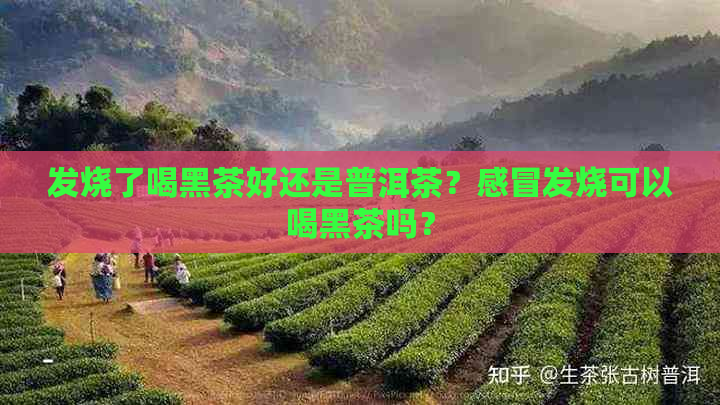 发烧了喝黑茶好还是普洱茶？感冒发烧可以喝黑茶吗？