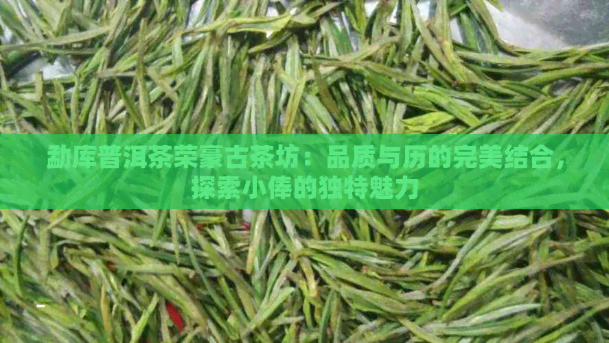 勐库普洱茶荣豪古茶坊：品质与历的完美结合，探索小俸的独特魅力