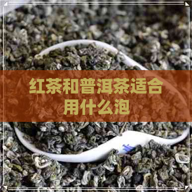 红茶和普洱茶适合用什么泡