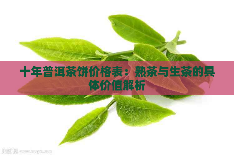 十年普洱茶饼价格表：熟茶与生茶的具体价值解析