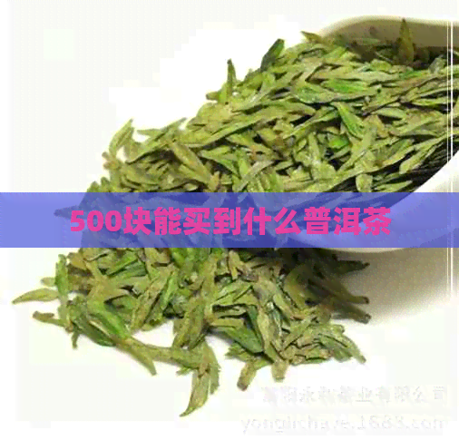 500块能买到什么普洱茶