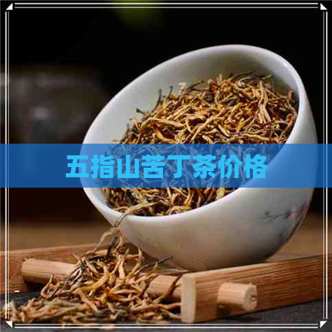 五指山苦丁茶价格