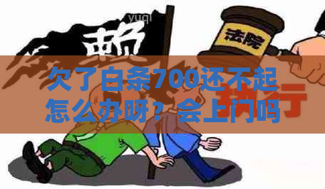 欠了白条700还不起怎么办呀？会上门吗？会被起诉吗？