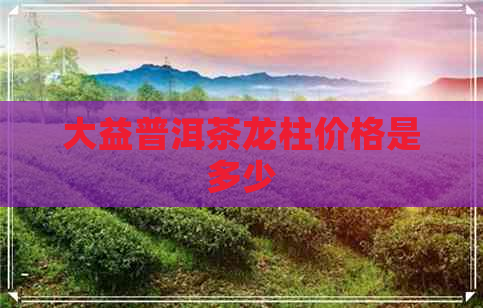 大益普洱茶龙柱价格是多少