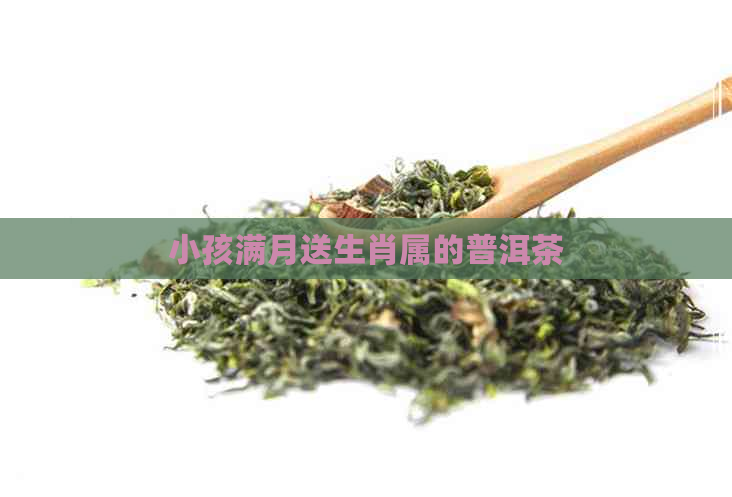 小孩满月送生肖属的普洱茶