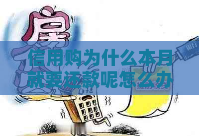 信用购为什么本月就要还款呢怎么办？