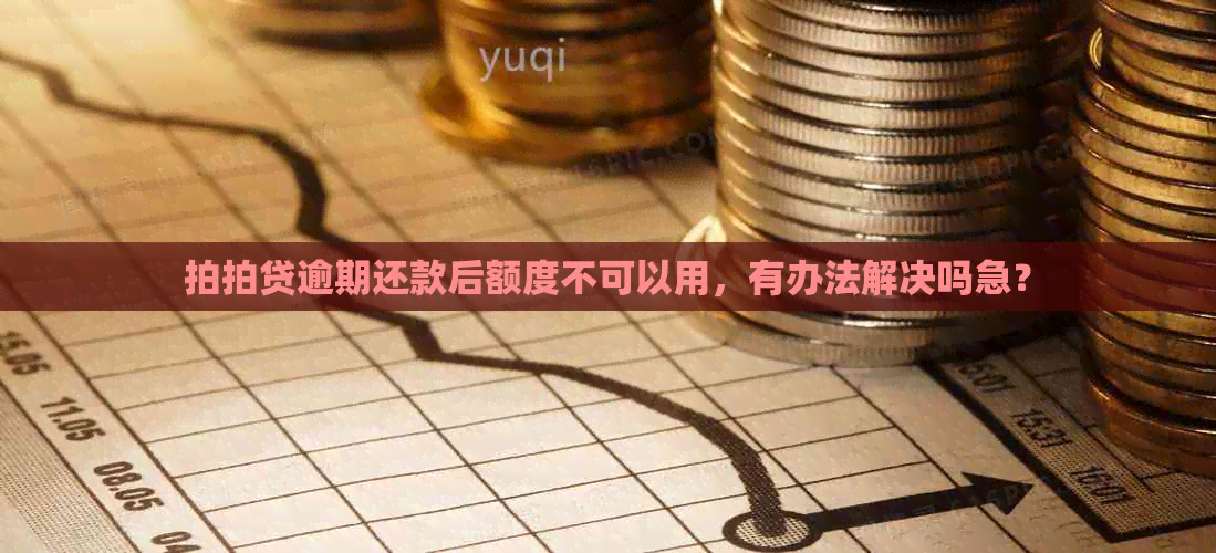 逾期还款后额度不可以用，有办法解决吗急？