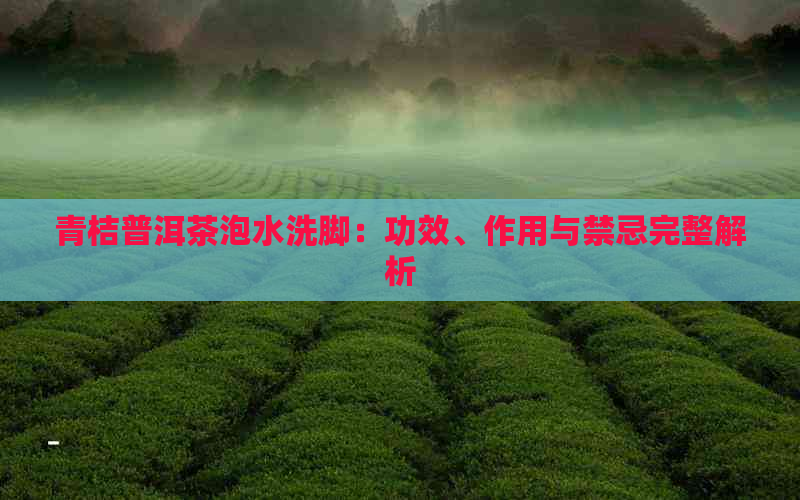 青桔普洱茶泡水洗脚：功效、作用与禁忌完整解析