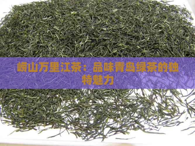 崂山万里江茶：品味青岛绿茶的独特魅力