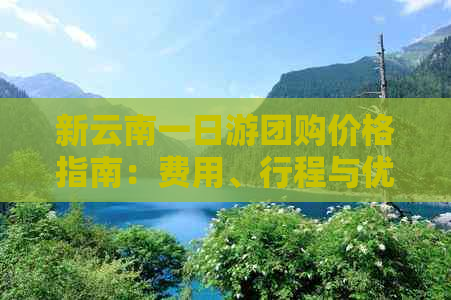 新云南一日游团购价格指南：费用、行程与优惠全解析