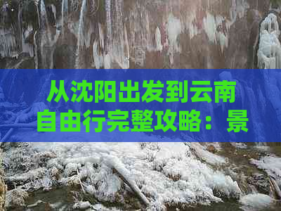 从沈阳出发到云南自由行完整攻略：景点推荐、交通方式、住宿指南及必备事项