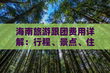 海南旅游跟团费用详解：行程、景点、住宿全攻略