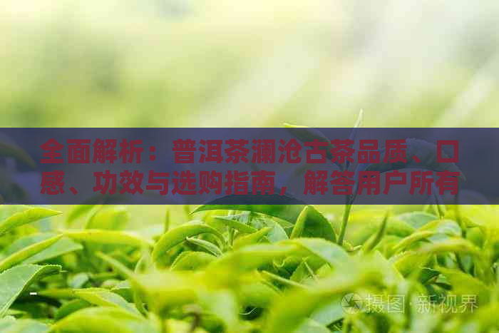 全面解析：普洱茶澜沧古茶品质、口感、功效与选购指南，解答用户所有疑问