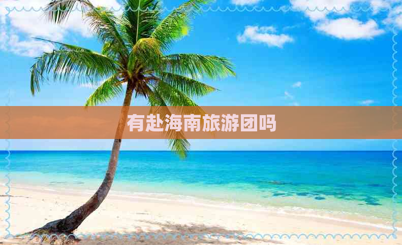 有赴海南旅游团吗