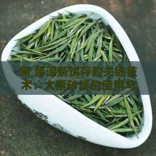 新 普洱茶饼存的关键技术：大紫砂罐的使用与注意事项