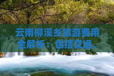 云南柳溪乡旅游费用全解析：包括交通、住宿、餐饮及景点门票等详细花费