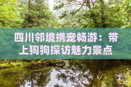 四川邻境携宠畅游：带上狗狗探访魅力景点攻略指南