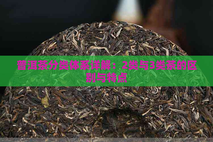 普洱茶分类体系详解：2类与3类茶的区别与特点