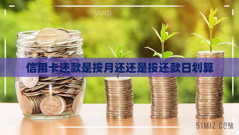 信用卡还款是按月还还是按还款日划算