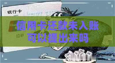 信用卡还款未入账可以提出来吗