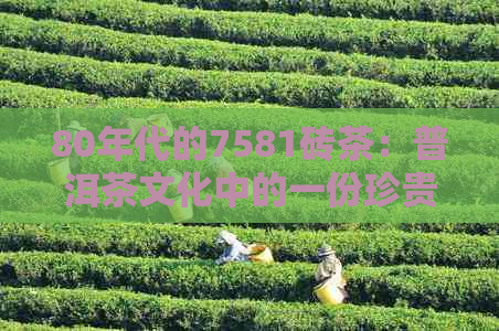 80年代的7581砖茶：普洱茶文化中的一份珍贵记忆