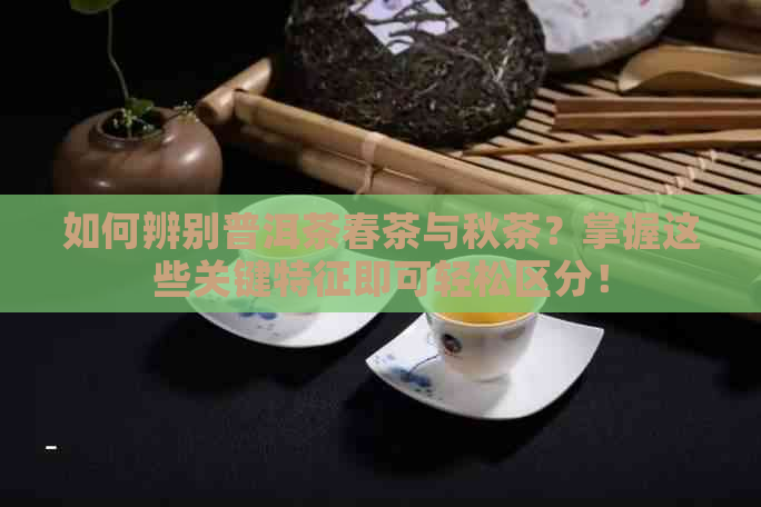 如何辨别普洱茶春茶与秋茶？掌握这些关键特征即可轻松区分！