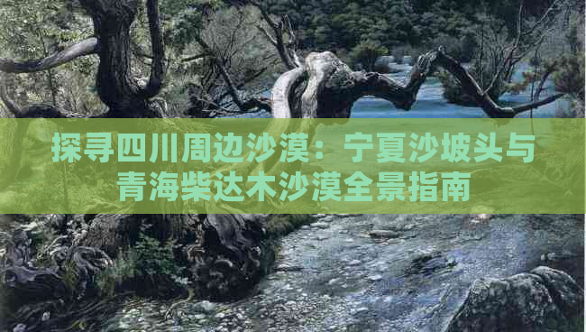 探寻四川周边沙漠：宁夏沙坡头与青海柴达木沙漠全景指南