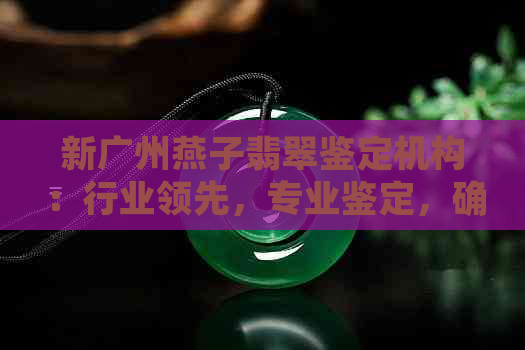 新广州燕子翡翠鉴定机构：行业领先，专业鉴定，确保翡翠品质与价值