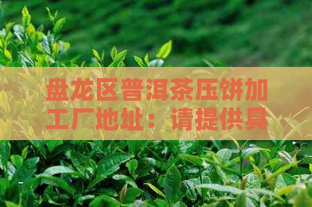 盘龙区普洱茶压饼加工厂地址：请提供具     置。