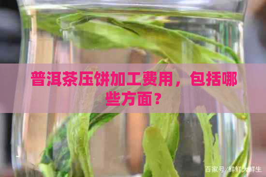 普洱茶压饼加工费用，包括哪些方面？