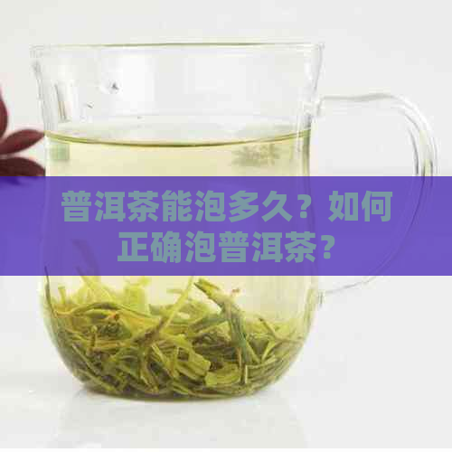 普洱茶能泡多久？如何正确泡普洱茶？