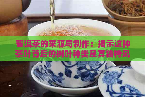 普洱茶的来源与制作：揭示这种茶叶背后的树叶种类及其独特风味