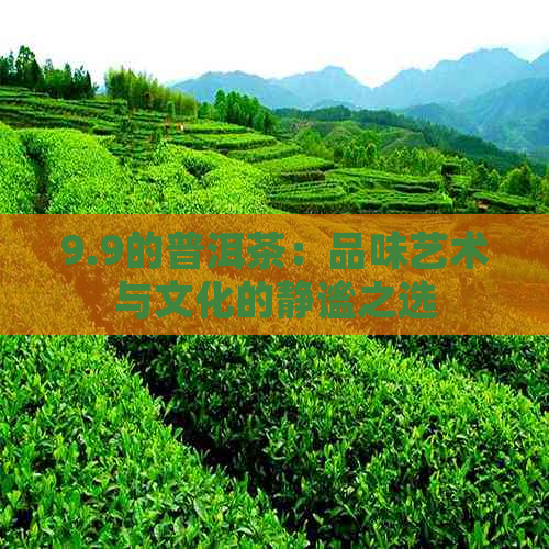 9.9的普洱茶：品味艺术与文化的静谧之选