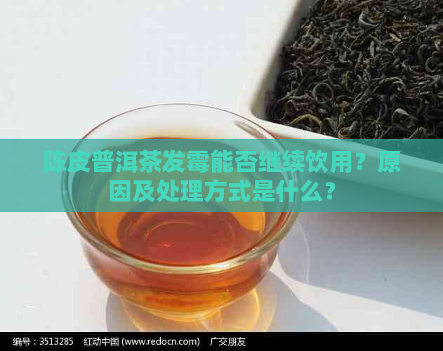 陈皮普洱茶发霉能否继续饮用？原因及处理方式是什么？