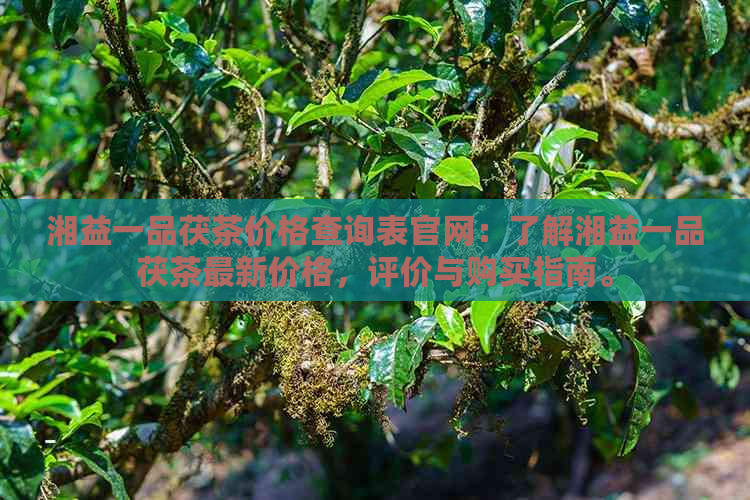 湘益一品茯茶价格查询表官网：了解湘益一品茯茶最新价格，评价与购买指南。