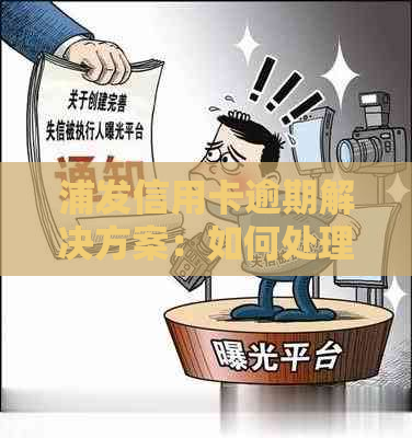 浦发信用卡逾期解决方案：如何处理、影响与预防措一文详解