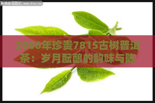 2006年珍贵7815古树普洱茶：岁月酝酿的韵味与陈香