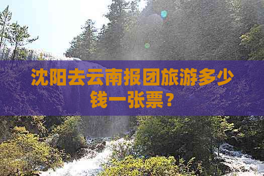 沈阳去云南报团旅游多少钱一张票？