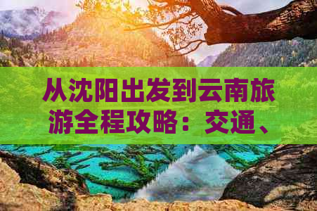 从沈阳出发到云南旅游全程攻略：交通、住宿、景点及旅行建议一文详解