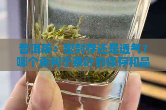 普洱茶：密封存还是透气？哪个更利于茶叶的保存和品质？