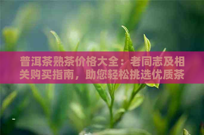 普洱茶熟茶价格大全：老同志及相关购买指南，助您轻松挑选优质茶叶