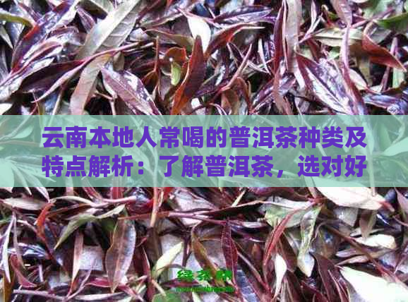 云南本地人常喝的普洱茶种类及特点解析：了解普洱茶，选对好茶品