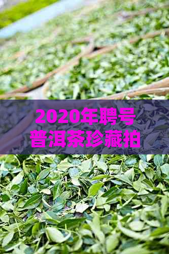 2020年聘号普洱茶珍藏拍卖会：稀有年份、精工艺与历价值的完美结合