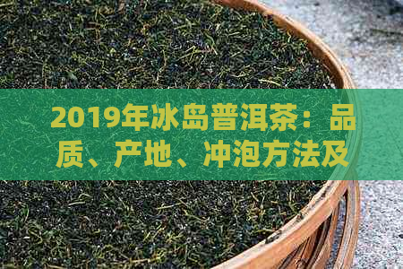 2019年冰岛普洱茶：品质、产地、冲泡方法及收藏价值全面解析