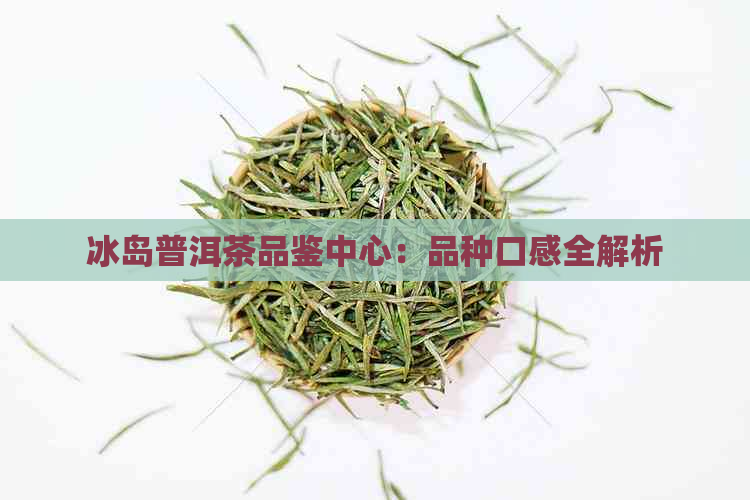 冰岛普洱茶品鉴中心：品种口感全解析