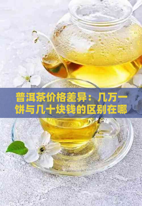 普洱茶价格差异：几万一饼与几十块钱的区别在哪里？