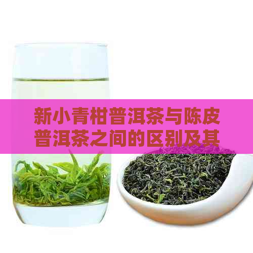 新小青柑普洱茶与陈皮普洱茶之间的区别及其特点解析