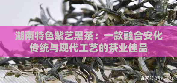 湖南特色紫艺黑茶：一款融合安化传统与现代工艺的茶业佳品