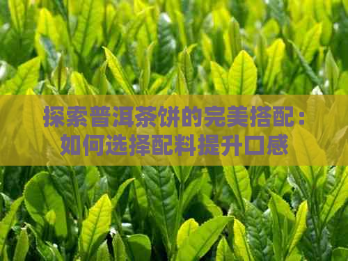 探索普洱茶饼的完美搭配：如何选择配料提升口感