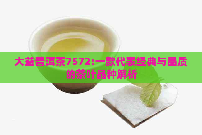 大益普洱茶7572:一款代表经典与品质的茶叶品种解析